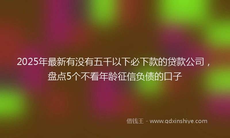 2025年最新有没有五千以下必下款的贷款公司，盘点5个不看年龄征信负债的口子