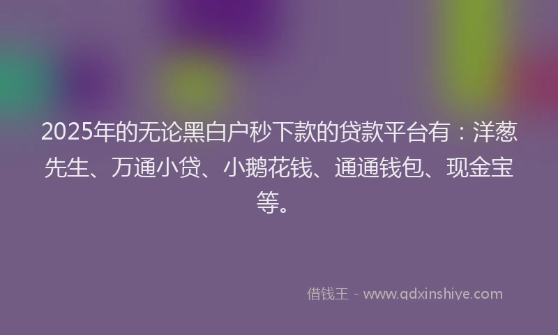 2025年的无论黑白户秒下款的贷款平台有：洋葱先生、万通小贷、小鹅花钱、通通钱包、现金宝等。