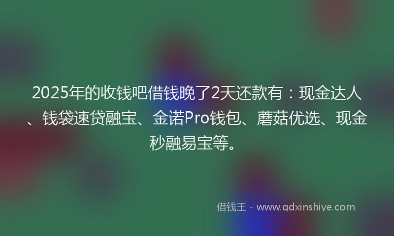 2025年的收钱吧借钱晚了2天还款有：现金达人、钱袋速贷融宝、金诺Pro钱包、蘑菇优选、现金秒融易宝等。