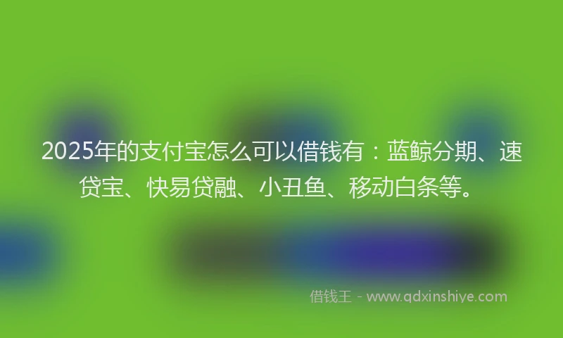 2025年的支付宝怎么可以借钱有：蓝鲸分期、速贷宝、快易贷融、小丑鱼、移动白条等。