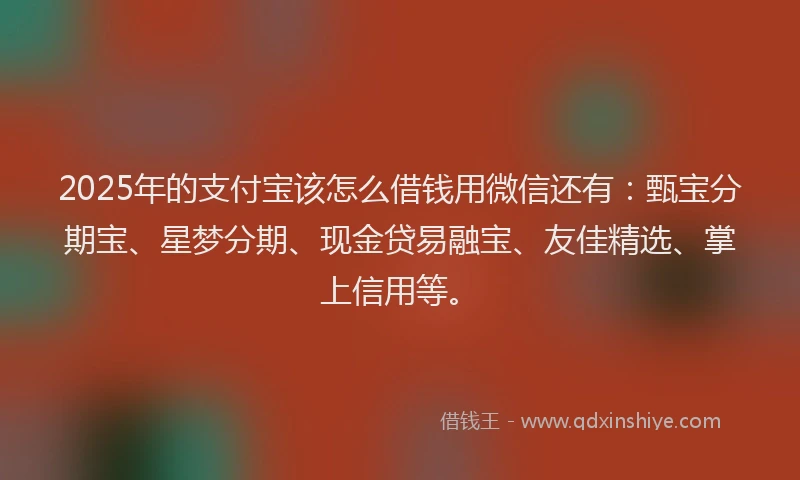 2025年的支付宝该怎么借钱用微信还有：甄宝分期宝、星梦分期、现金贷易融宝、友佳精选、掌上信用等。