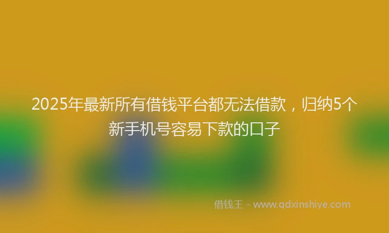 2025年最新所有借钱平台都无法借款，归纳5个新手机号容易下款的口子