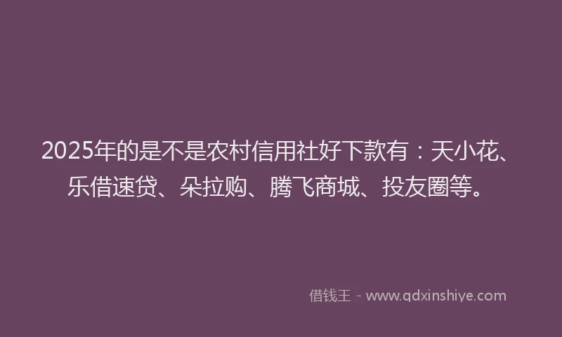 2025年的是不是农村信用社好下款有：天小花、乐借速贷、朵拉购、腾飞商城、投友圈等。