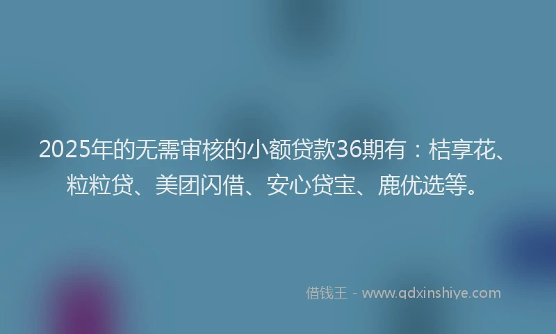2025年的无需审核的小额贷款36期有：桔享花、粒粒贷、美团闪借、安心贷宝、鹿优选等。