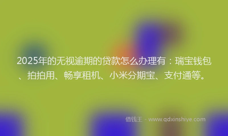 2025年的无视逾期的贷款怎么办理有：瑞宝钱包、拍拍用、畅享租机、小米分期宝、支付通等。