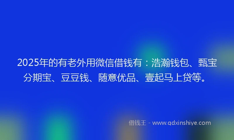 2025年的有老外用微信借钱有：浩瀚钱包、甄宝分期宝、豆豆钱、随意优品、壹起马上贷等。