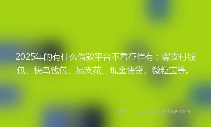 2025年的有什么借款平台不看征信有：翼支付钱包、快鸟钱包、易支花、现金快贷、微粒宝等。