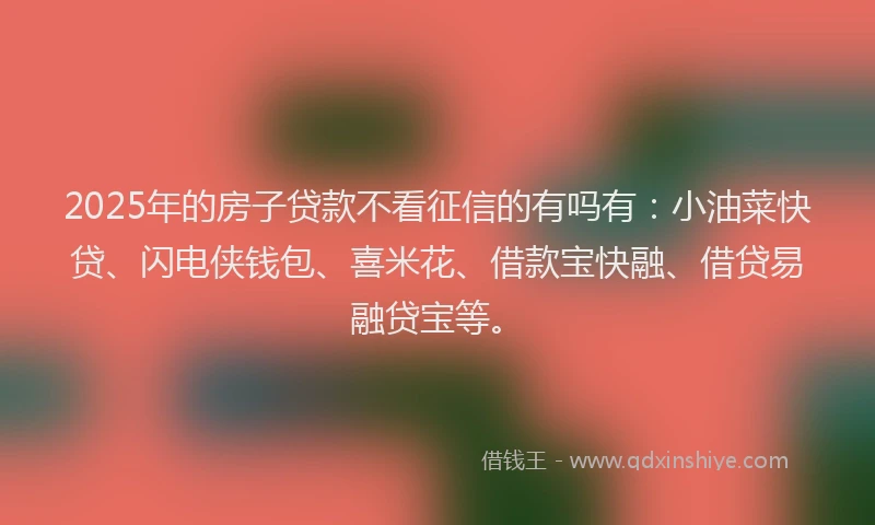 2025年的房子贷款不看征信的有吗有：小油菜快贷、闪电侠钱包、喜米花、借款宝快融、借贷易融贷宝等。