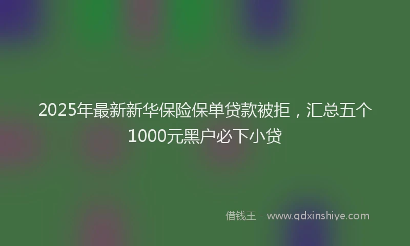 2025年最新新华保险保单贷款被拒，汇总五个1000元黑户必下小贷