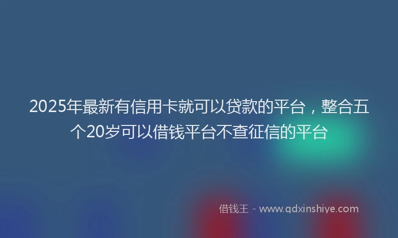 2025年最新有信用卡就可以贷款的平台，整合五个20岁可以借钱平台不查征信的平台