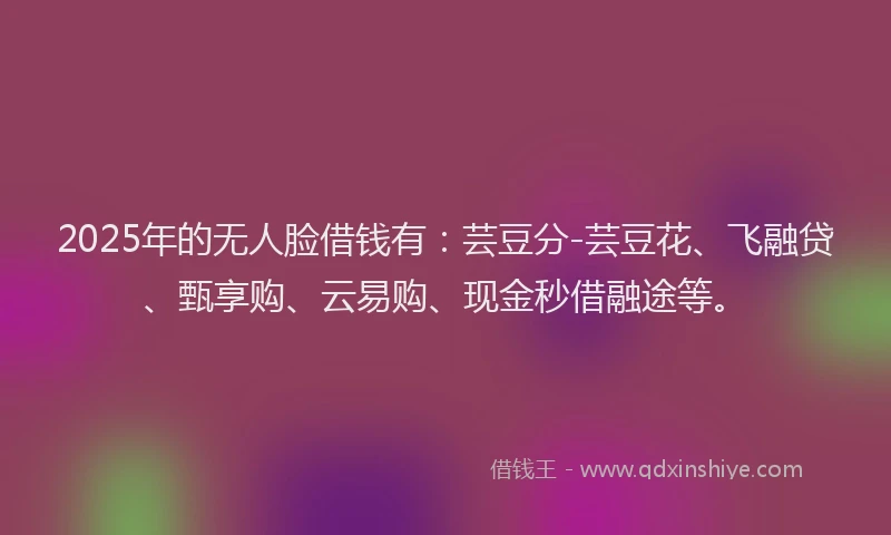 2025年的无人脸借钱有：芸豆分-芸豆花、飞融贷、甄享购、云易购、现金秒借融途等。