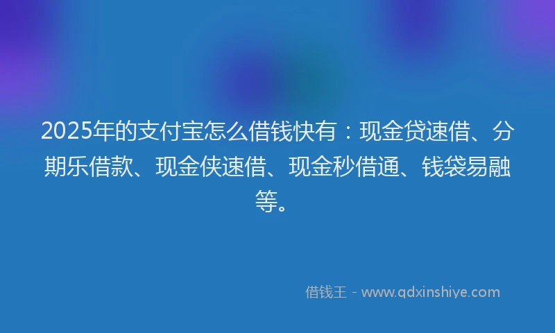 2025年的支付宝怎么借钱快有：现金贷速借、分期乐借款、现金侠速借、现金秒借通、钱袋易融等。