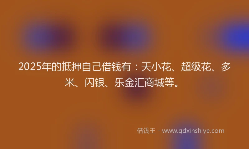 2025年的抵押自己借钱有：天小花、超级花、多米、闪银、乐金汇商城等。