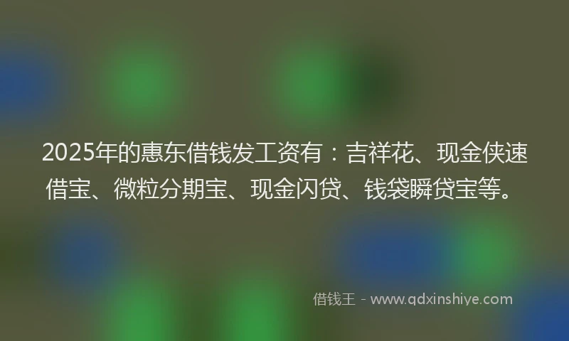 2025年的惠东借钱发工资有：吉祥花、现金侠速借宝、微粒分期宝、现金闪贷、钱袋瞬贷宝等。