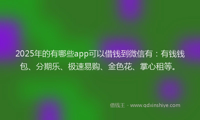 2025年的有哪些app可以借钱到微信有：有钱钱包、分期乐、极速易购、金色花、掌心租等。