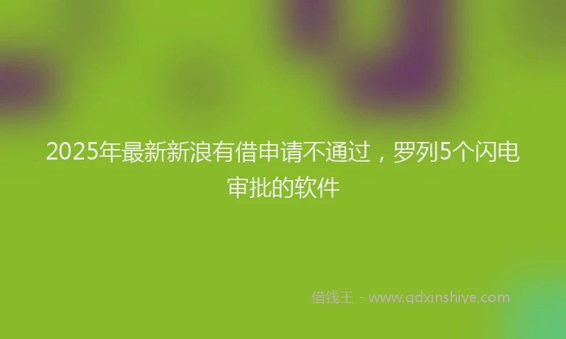 2025年最新新浪有借申请不通过，罗列5个闪电审批的软件