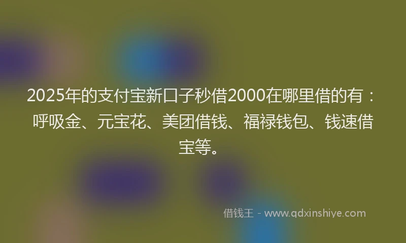2025年的支付宝新口子秒借2000在哪里借的有：呼吸金、元宝花、美团借钱、福禄钱包、钱速借宝等。