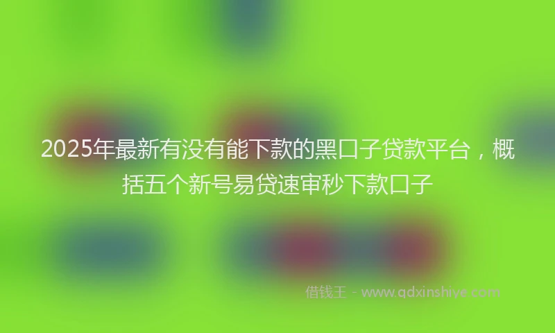 2025年最新有没有能下款的黑口子贷款平台，概括五个新号易贷速审秒下款口子