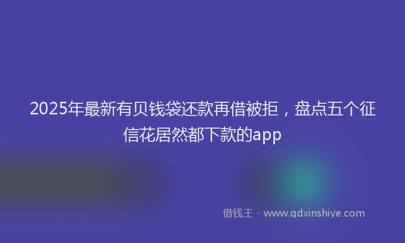 2025年最新有贝钱袋还款再借被拒，盘点五个征信花居然都下款的app