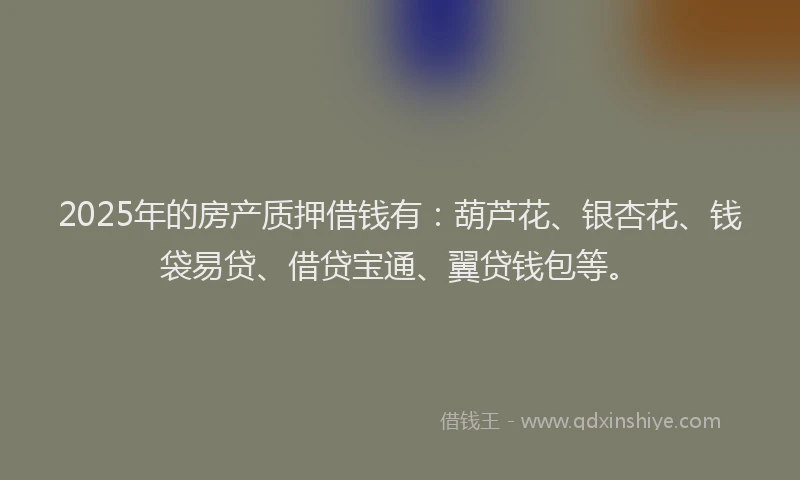 2025年的房产质押借钱有：葫芦花、银杏花、钱袋易贷、借贷宝通、翼贷钱包等。