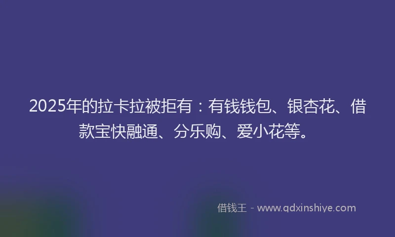 2025年的拉卡拉被拒有：有钱钱包、银杏花、借款宝快融通、分乐购、爱小花等。