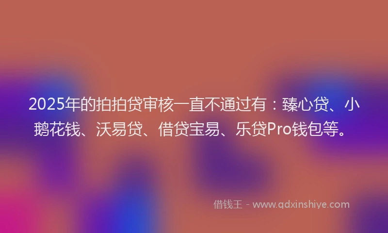 2025年的拍拍贷审核一直不通过有：臻心贷、小鹅花钱、沃易贷、借贷宝易、乐贷Pro钱包等。