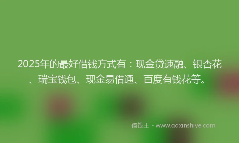 2025年的最好借钱方式有：现金贷速融、银杏花、瑞宝钱包、现金易借通、百度有钱花等。