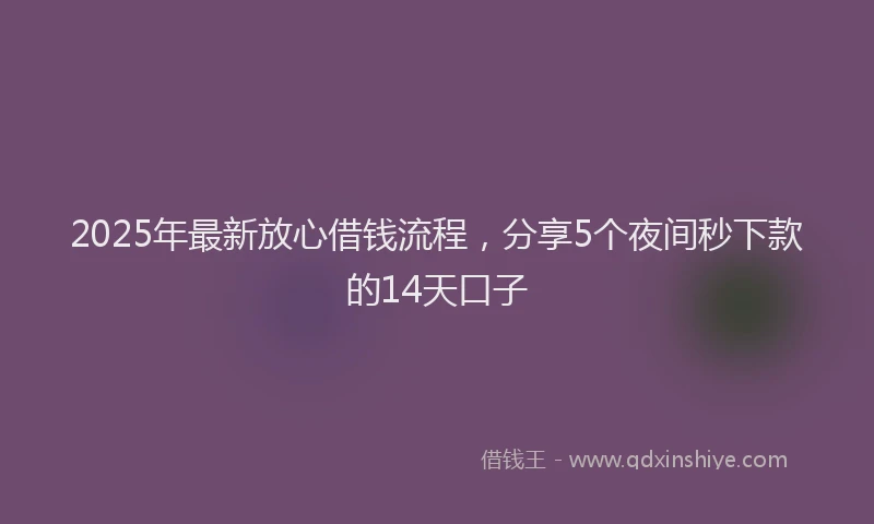 2025年最新放心借钱流程，分享5个夜间秒下款的14天口子