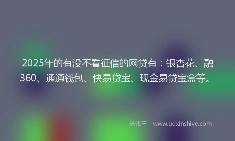 2025年的有没不看征信的网贷有：银杏花、融360、通通钱包、快易贷宝、现金易贷宝盒等。