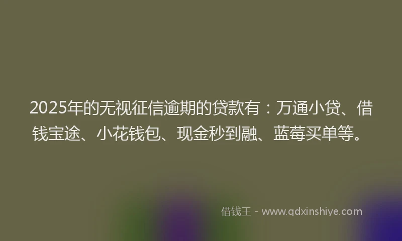 2025年的无视征信逾期的贷款有：万通小贷、借钱宝途、小花钱包、现金秒到融、蓝莓买单等。