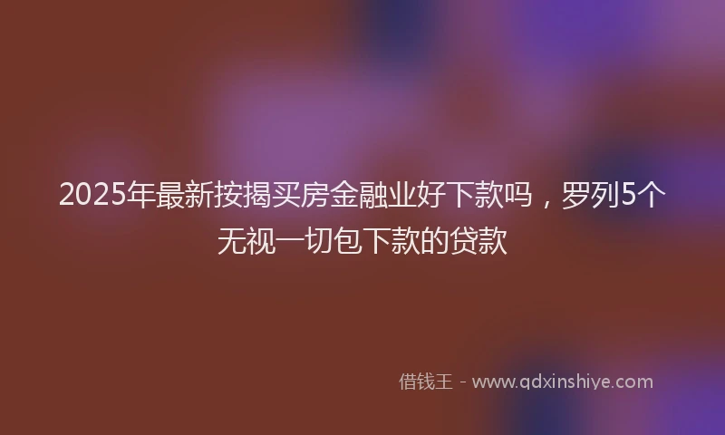 2025年最新按揭买房金融业好下款吗，罗列5个无视一切包下款的贷款
