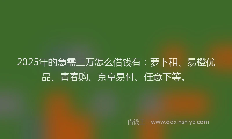 2025年的急需三万怎么借钱有：萝卜租、易橙优品、青春购、京享易付、任意下等。