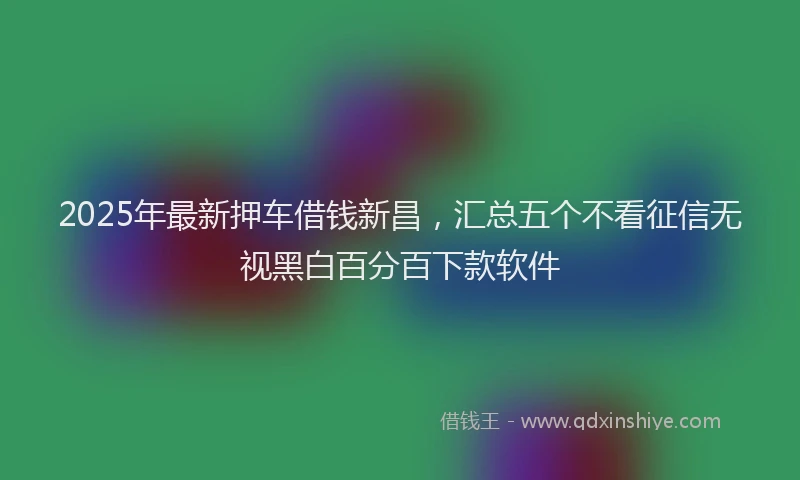 2025年最新押车借钱新昌，汇总五个不看征信无视黑白百分百下款软件