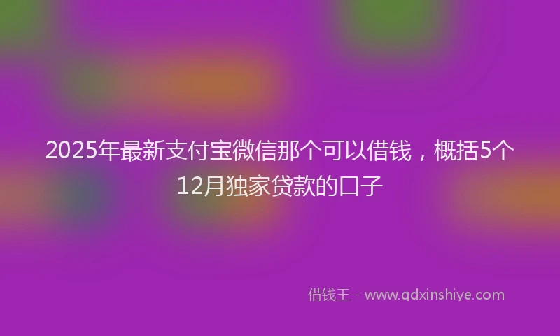 2025年最新支付宝微信那个可以借钱，概括5个12月独家贷款的口子