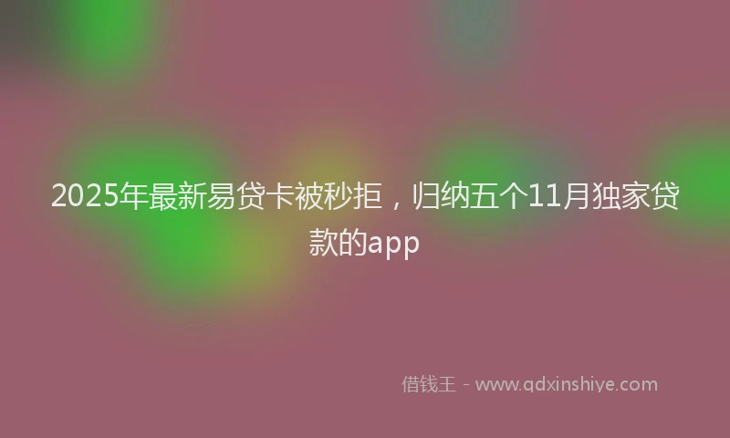 2025年最新易贷卡被秒拒，归纳五个11月独家贷款的app