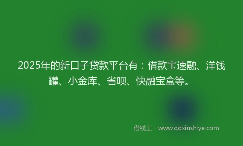 2025年的新口子贷款平台有：借款宝速融、洋钱罐、小金库、省呗、快融宝盒等。