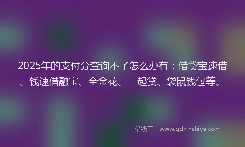 2025年的支付分查询不了怎么办有：借贷宝速借、钱速借融宝、全金花、一起贷、袋鼠钱包等。