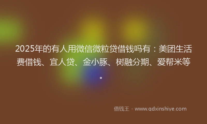 2025年的有人用微信微粒贷借钱吗有：美团生活费借钱、宜人贷、金小豚、树融分期、爱帮米等。