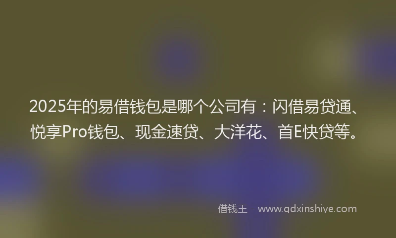 2025年的易借钱包是哪个公司有：闪借易贷通、悦享Pro钱包、现金速贷、大洋花、首E快贷等。
