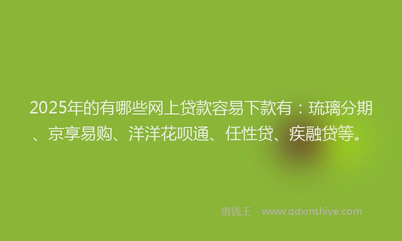 2025年的有哪些网上贷款容易下款有：琉璃分期、京享易购、洋洋花呗通、任性贷、疾融贷等。
