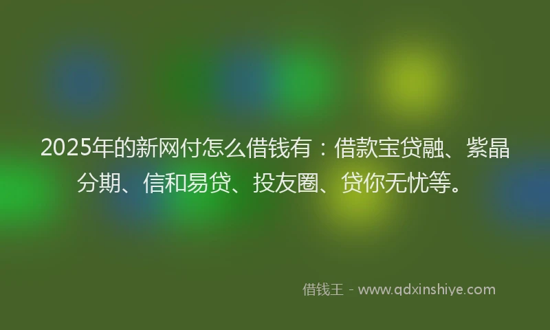 2025年的新网付怎么借钱有：借款宝贷融、紫晶分期、信和易贷、投友圈、贷你无忧等。