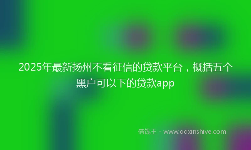 2025年最新扬州不看征信的贷款平台，概括五个黑户可以下的贷款app