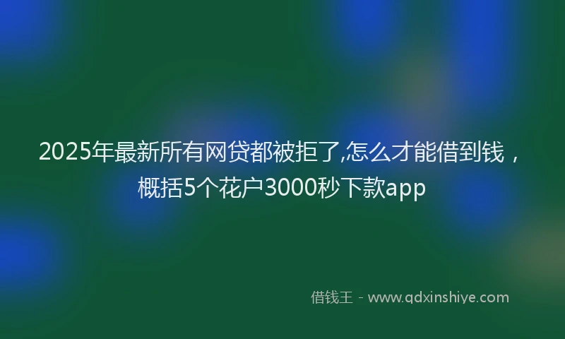 2025年最新所有网贷都被拒了,怎么才能借到钱，概括5个花户3000秒下款app