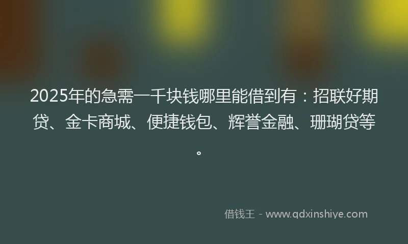 2025年的急需一千块钱哪里能借到有：招联好期贷、金卡商城、便捷钱包、辉誉金融、珊瑚贷等。
