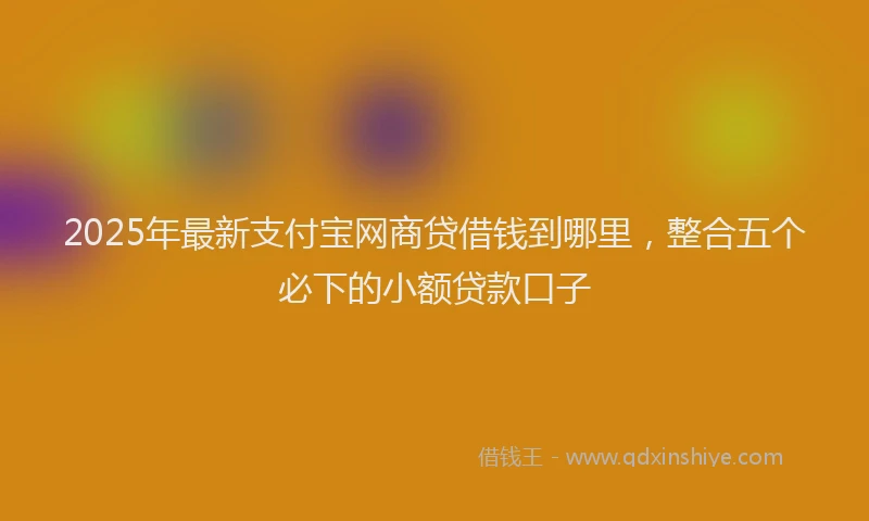 2025年最新支付宝网商贷借钱到哪里，整合五个必下的小额贷款口子