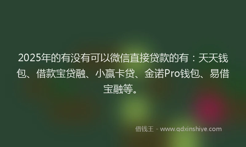 2025年的有没有可以微信直接贷款的有：天天钱包、借款宝贷融、小赢卡贷、金诺Pro钱包、易借宝融等。