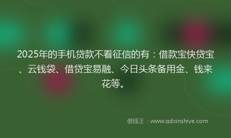 2025年的手机贷款不看征信的有：借款宝快贷宝、云钱袋、借贷宝易融、今日头条备用金、钱来花等。