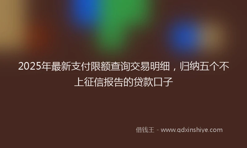 2025年最新支付限额查询交易明细，归纳五个不上征信报告的贷款口子