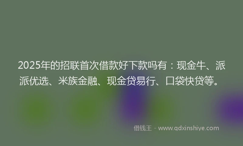 2025年的招联首次借款好下款吗有：现金牛、派派优选、米族金融、现金贷易行、口袋快贷等。
