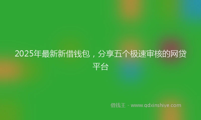 2025年最新新借钱包，分享五个极速审核的网贷平台